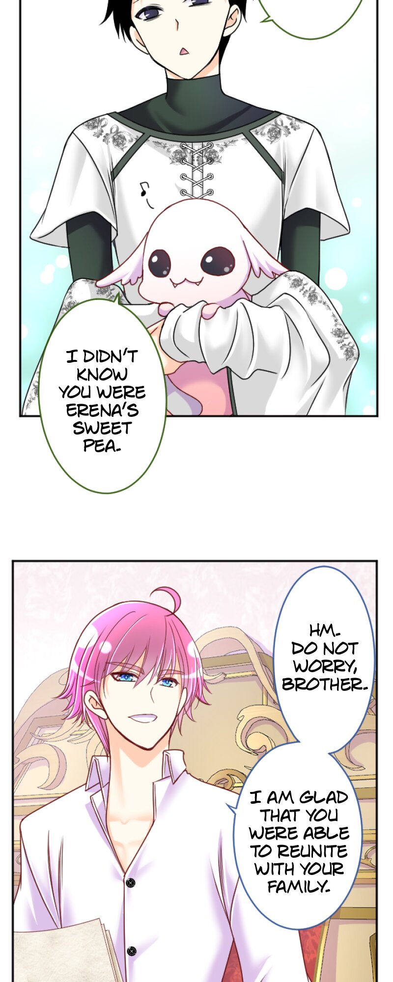 56495375 800 2000 222570